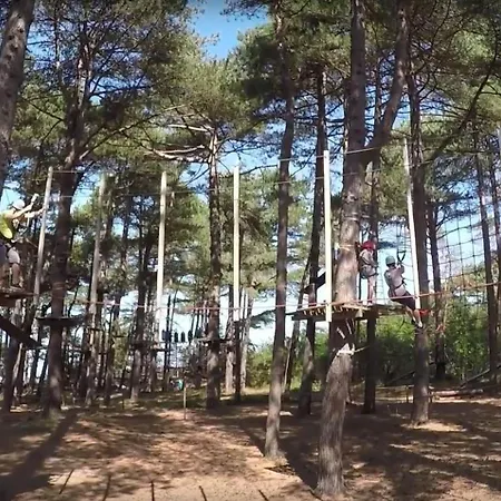 Quartier Hohe Geest 21 דירה